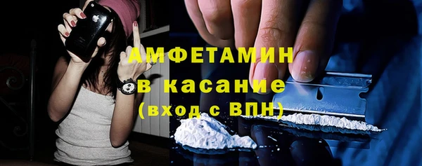 дживик Инта