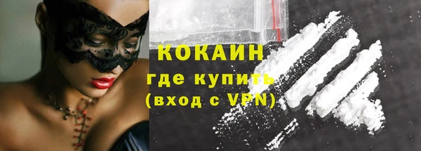 дживик Инта