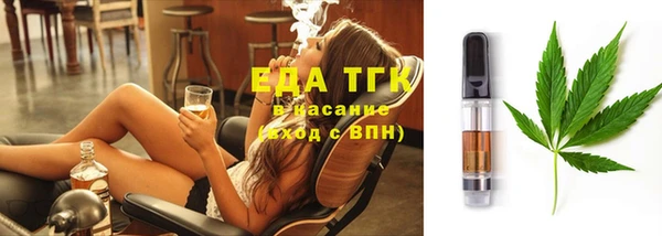 дживик Инта
