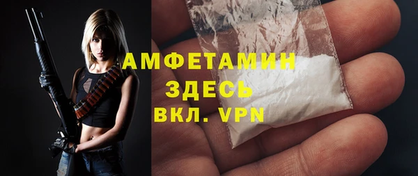дживик Инта