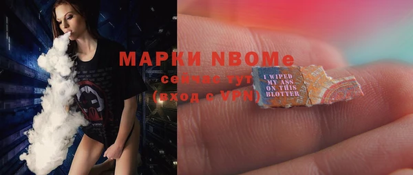 дживик Инта