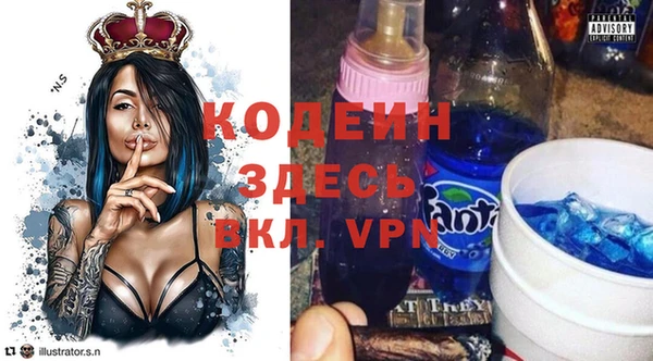 дживик Инта