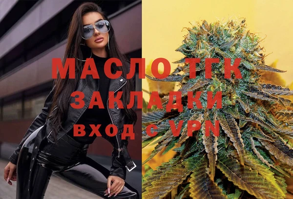 дживик Инта