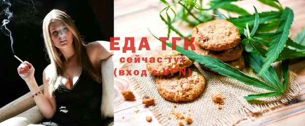 дживик Инта