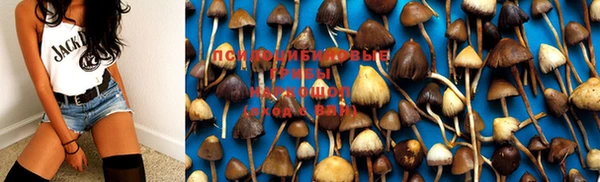 кокаин колумбия Иннополис