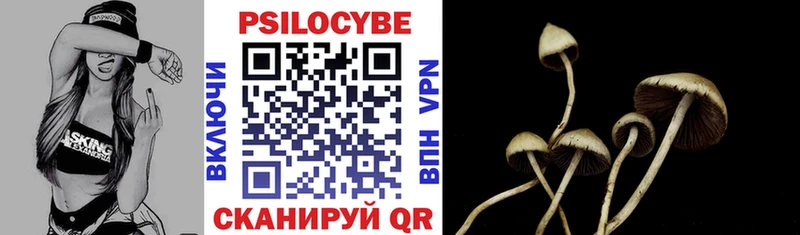 Купить закладки  Арзамас  Псилоцибиновые грибы Cubensis 