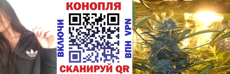 Бошки марихуана VHQ  Купить  Арзамас 